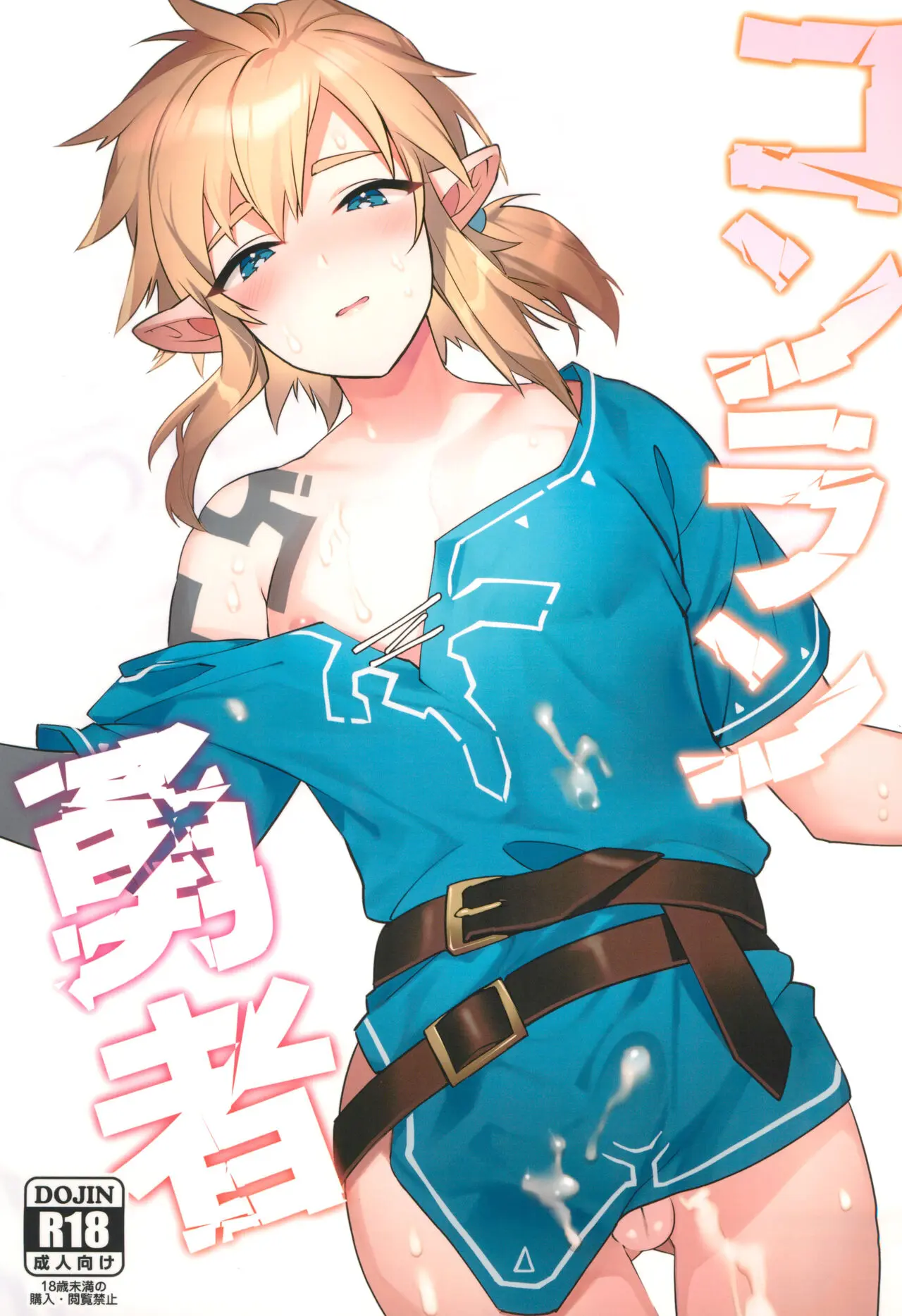 A Lenda de Link : A ”Espada” Em Direção Ao Céu Hentai – Página 1