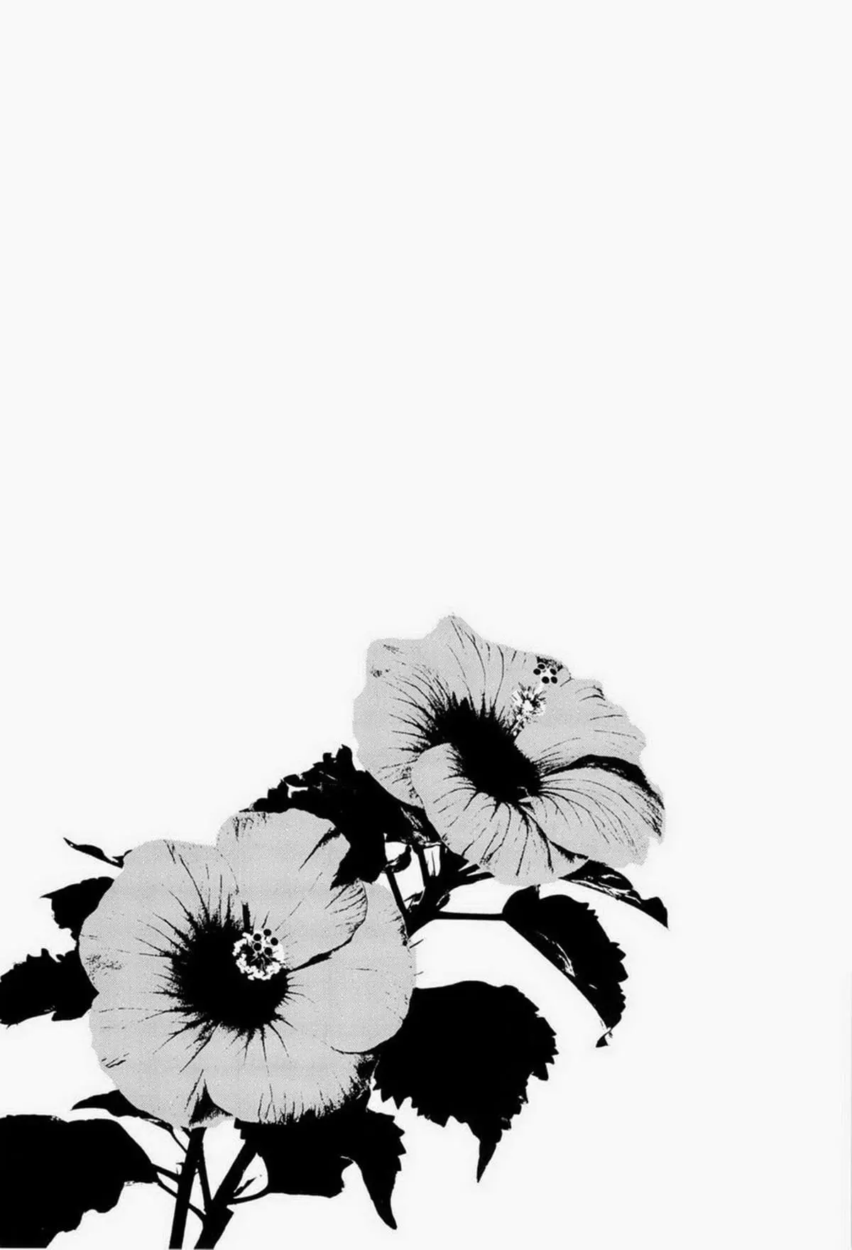 Por Favor!! Maco-chan Hentai – Página 25 Por Favor!! Maco-chan Hentai – Página 25