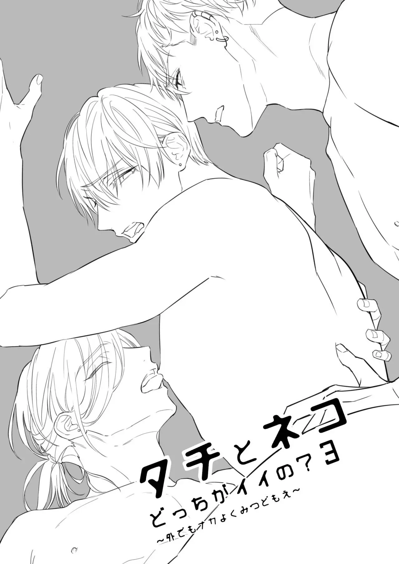 Qual Você Prefere, Passivo ou Ativo? 3 Hentai – Página 3