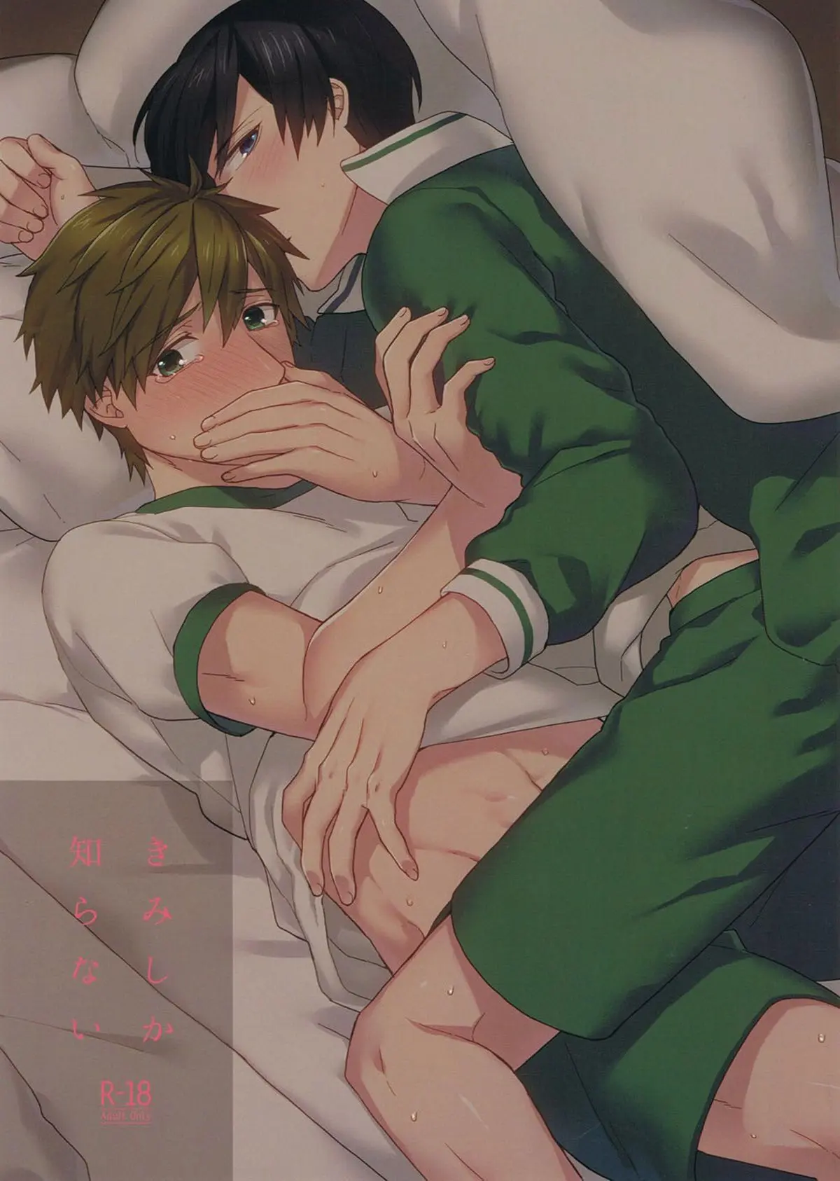 Só Você Sabe Hentai – Página 1